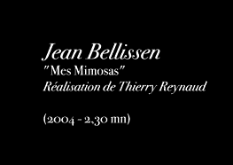 Jean Bellissen : "Mes mimosas"